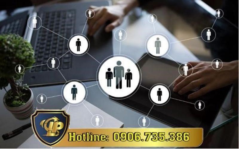 Consulting on building organizational structure for small and medium enterprises