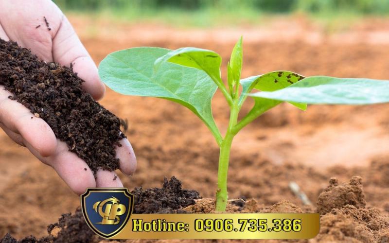 Nhập khẩu phân bón vào Việt Nam