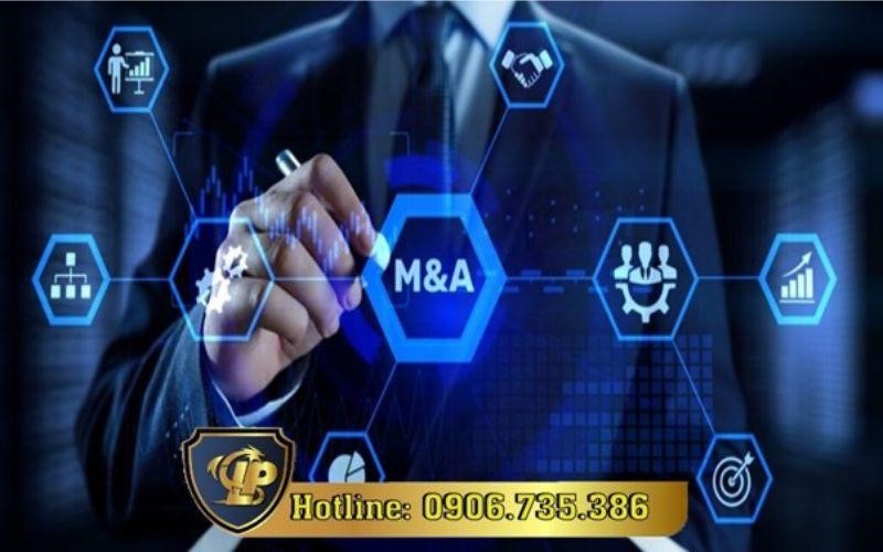  Professional consulting services on business mergers