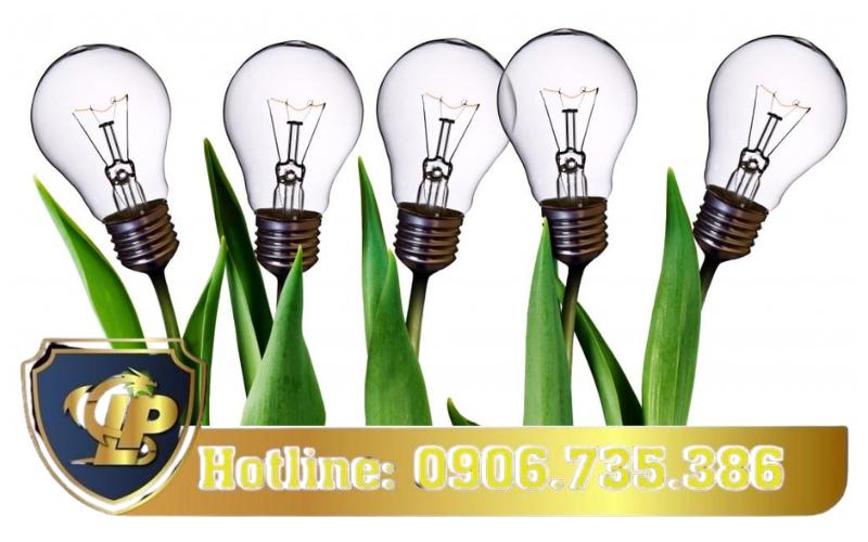 Thời hạn giải quyết đăng ký bảo hộ giống cây trồng