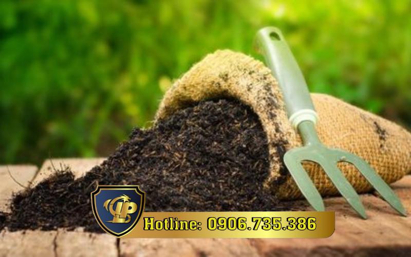 Thủ tục cấp giấy chứng nhận đủ điều kiện buôn bán phân bón