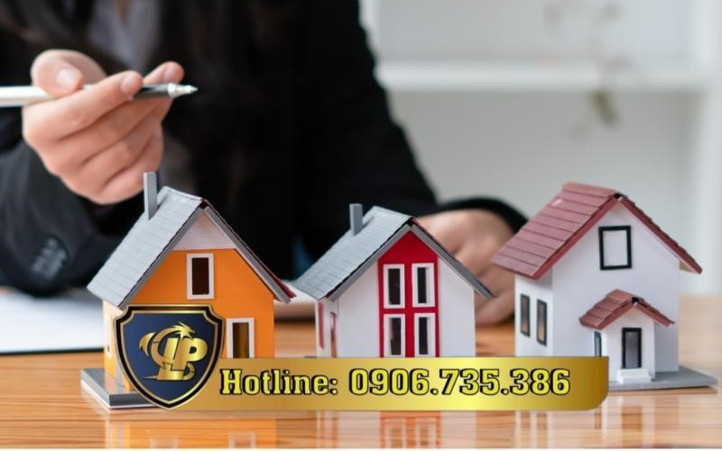 Consulting and support at Long Phan