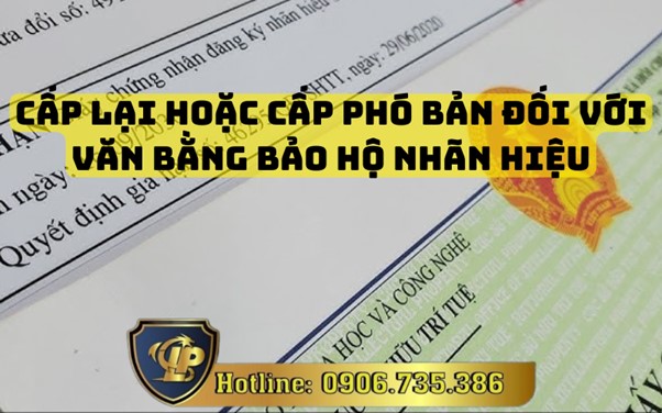 Cấp lại hoặc cấp phó bản đối với văn bằng bảo hộ nhãn hiệu