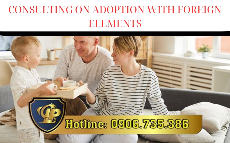 Consulting services for adoption with foreign elements