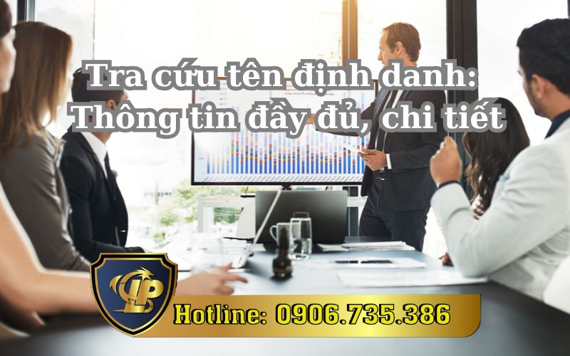 Tư vấn tra cứu tên định danh