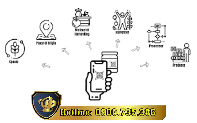 Thiết lập hệ thống truy xuất nguồn gốc thực phẩm đúng chuẩn 
