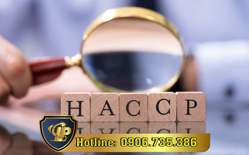 Tư vấn quy trình thực hiện HACCP hiệu quả