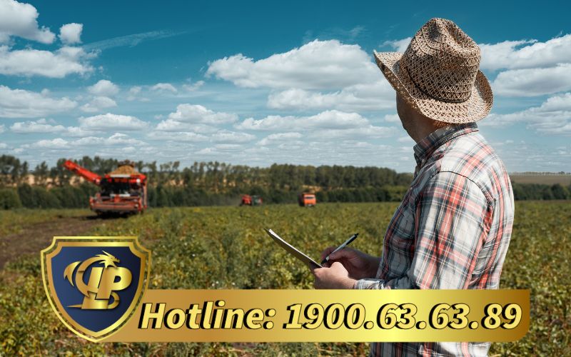 Hồ sơ đăng ký giấy phép bán buôn nông sản