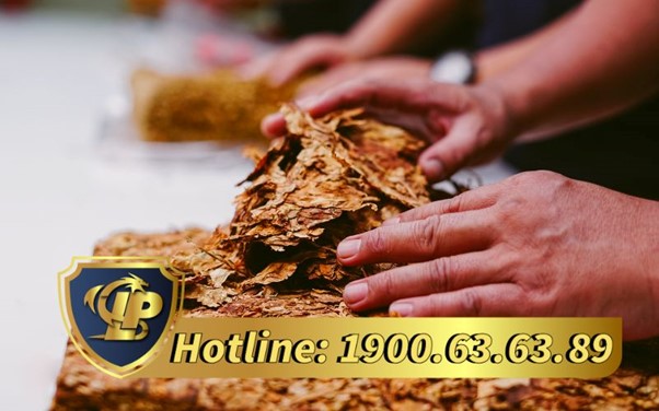 Regulations on the conditions for issuing a certificate of eligibility for growing tobacco.