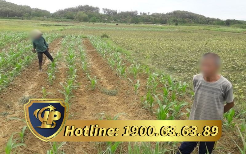 Điều kiện để được trực tiếp bồi thường với người dân
