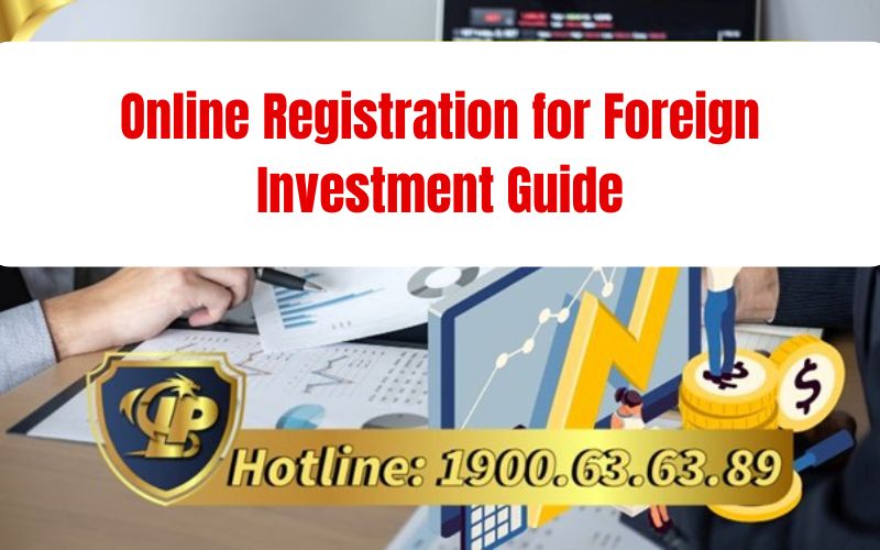 Online Registration for Foreign Investment: Capital Contribution or Share Purchase
