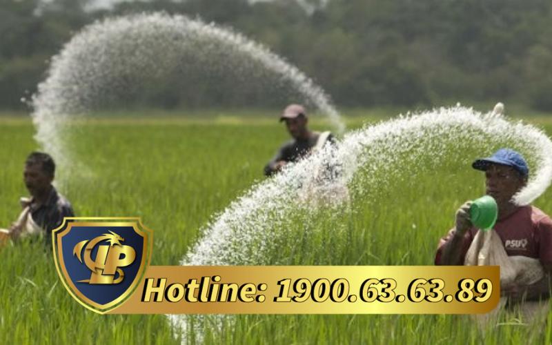 Trình tự, thủ tục xác nhận nội dung quảng cáo phân bón