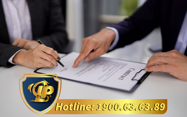 Tax declaration consulting for organizations and individuals filing on behalf of asset lessors