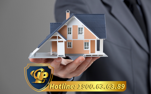 Activities of real estate exchanges