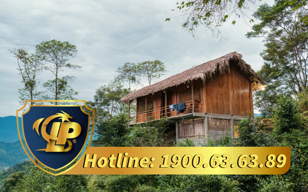 What licenses are required to operate a homestay business?
