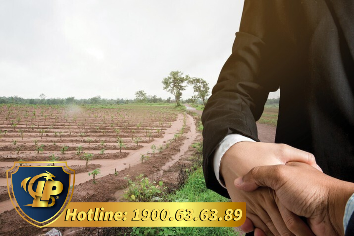 Dịch vụ tư vấn về chuyển đổi đất và mức thu tiền sử dụng đất khi chuyển đổi đất nông nghiệp sang đất ở tại Tư vấn Long Phan