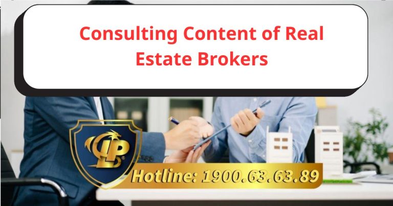 What does a real estate agent's consultation include?