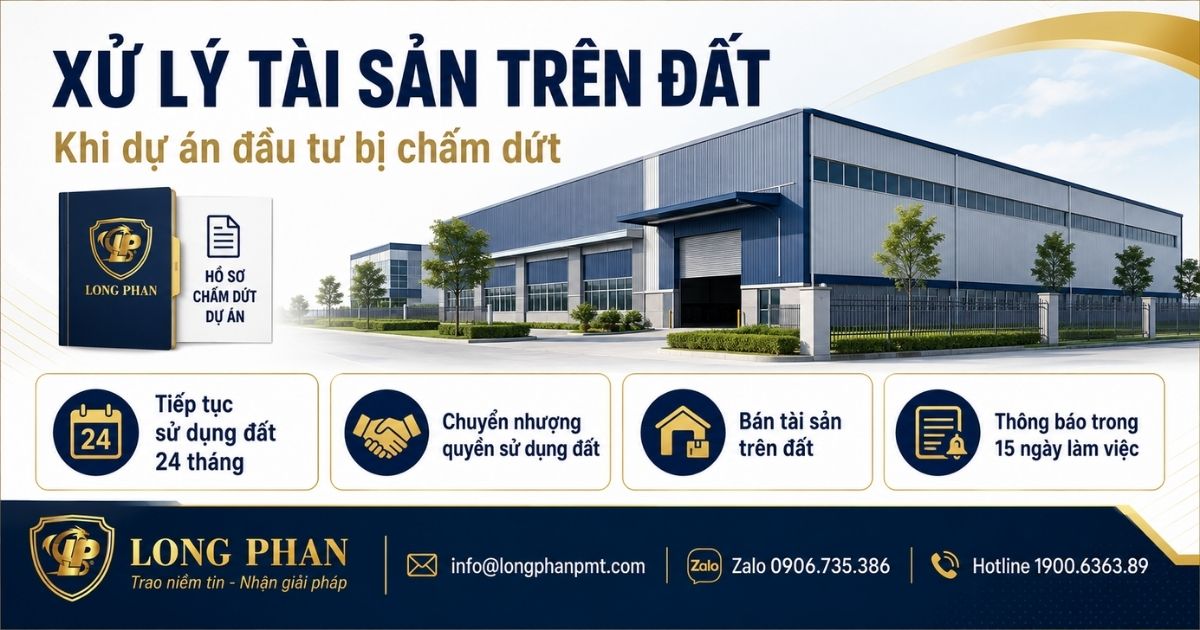 Xử lý tài sản trên đất khi dự án đầu tư bị chấm dứt hoạt động theo quy định pháp luật.